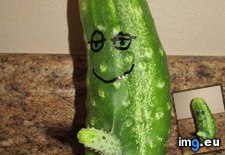 Tags: are, cucumber, funny, happy, pocket, see, you (Pict. in My r/FUNNY favs)