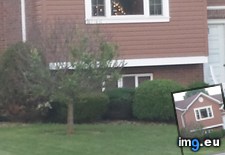 Tags: 6th, christmas, funny, neighbors, ornaments, tree (Pict. in My r/FUNNY favs)