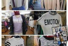 Tags: english, funny, japanese, shirts, words (Pict. in My r/FUNNY favs)