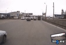 Tags: bear, funny (GIF in My r/FUNNY favs)