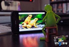 Tags: funny, kermit, not, piggy, rough, time (Pict. in My r/FUNNY favs)