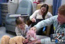 Tags: are, funny, kids, oblivious (GIF in My r/FUNNY favs)