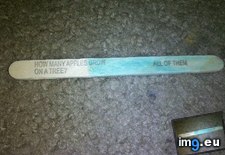 Tags: funny, joke, lame, popsicle (Pict. in My r/FUNNY favs)
