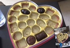 Tags: box, chocolates, funny, life (Pict. in My r/FUNNY favs)