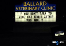 Tags: funny, laugh, local, month, vet (Pict. in My r/FUNNY favs)
