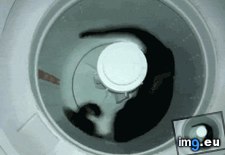Tags: funny, gif, loading (GIF in My r/FUNNY favs)