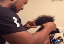 Tags: funny, hairdresser, moses (GIF in My r/FUNNY favs)