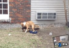 Tags: awhile, funny (GIF in My r/FUNNY favs)