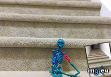 Tags: daughter, deter, funny, stairs, thought (Pict. in My r/FUNNY favs)