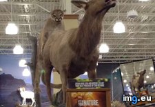 Tags: all, angle, cabela, friend, funny, picture, takes (Pict. in My r/FUNNY favs)