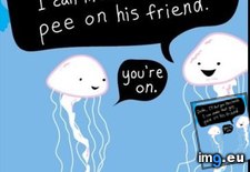 Tags: day, friend, funny, gave, good, jellyfish, laugh, showed, stung, was (Pict. in My r/FUNNY favs)