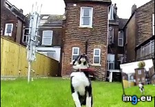 Tags: funny, gif, life (GIF in My r/FUNNY favs)