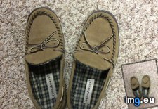 Tags: funny, good, slippers (Pict. in My r/FUNNY favs)