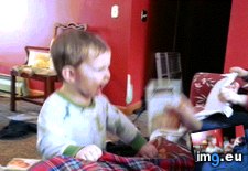 Tags: dancing, funny, shy, son (GIF in My r/FUNNY favs)