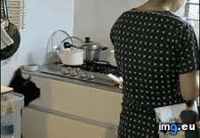 Tags: cat, dodge, funny (GIF in My r/FUNNY favs)
