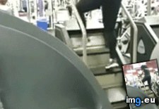 Tags: fuck, funny, giving, not (GIF in My r/FUNNY favs)
