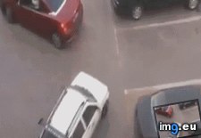 Tags: asshole, funny (GIF in My r/FUNNY favs)