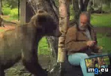 Tags: bear, deals, food, funny, man, manly, steal (GIF in My r/FUNNY favs)