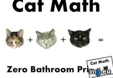 Tags: argue, can, cat, funny, math (Pict. in LOLCats, LOLDogs and cute animals)