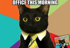 Tags: 13th, business, cat, day, for, friday, funny, good, not (Pict. in LOLCats, LOLDogs and cute animals)