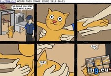 Tags: adventures, airport, cat, funny (Pict. in LOLCats, LOLDogs and cute animals)
