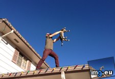 Tags: cat, christmas, circle, funny, jumped, life, lights, putting, roof, singing (Pict. in My r/FUNNY favs)