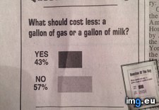 Tags: day, funny, gas, local, milk, newspaper, question (Pict. in My r/FUNNY favs)