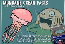 Tags: broaden, facts, funny, minds, motherfuckers, ocean, real (Pict. in My r/FUNNY favs)