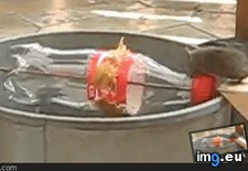 Tags: funny, mousetrap, redneck, redneckgifs (GIF in My r/FUNNY favs)