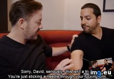 Tags: blaine, david, funny, gervais, ricky, telling (Pict. in My r/FUNNY favs)