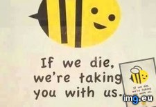 Tags: bees, funny, save (Pict. in My r/FUNNY favs)