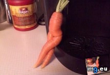 Tags: carrot, funny, sexy (Pict. in My r/FUNNY favs)