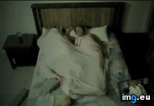 Tags: bed, funny, sharing (GIF in My r/FUNNY favs)