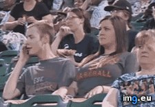 Tags: funny, had, she (GIF in My r/FUNNY favs)