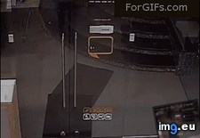 Tags: did, funny, shit (GIF in My r/FUNNY favs)