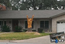 Tags: did, funny, neighborhood, rock, tree (Pict. in My r/FUNNY favs)