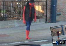 Tags: funny, man, spider (Pict. in My r/FUNNY favs)