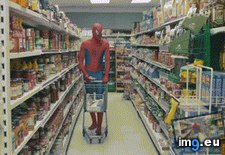 Tags: foe, funny, man, spider, ultimate (GIF in My r/FUNNY favs)
