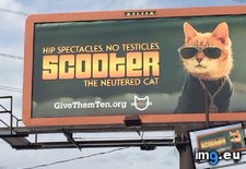 Tags: billboards, funny, stranger, town (Pict. in My r/FUNNY favs)