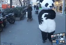 Tags: force, funny, strong (GIF in My r/FUNNY favs)