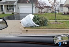 Tags: christmas, efficient, funny, morning, neighbors (Pict. in My r/FUNNY favs)