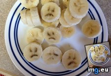 Tags: breakfast, funny, saddest (Pict. in My r/FUNNY favs)