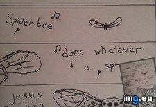 Tags: funny, spectacular, spiderbee (Pict. in My r/FUNNY favs)