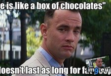 Tags: forest, funny, gump, wisdom (Pict. in My r/FUNNY favs)