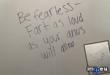 Tags: bathroom, find, funny, stall, wisdom, written (Pict. in My r/FUNNY favs)