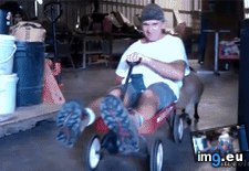 Tags: funny, rollin, see (GIF in My r/FUNNY favs)