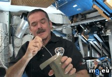 Tags: chris, funny, hadfield, showed, space (GIF in My r/FUNNY favs)