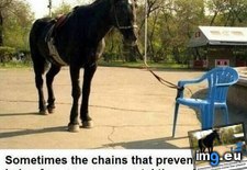 Tags: chair, funny, heavy (Pict. in My r/FUNNY favs)