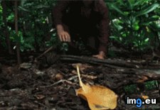 Tags: experience, funny, hanks, oral, pretty, sfw, sums, tom (GIF in My r/FUNNY favs)