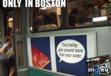 Tags: boston, funny, huh, picture, shame, vacation, was (Pict. in My r/FUNNY favs)